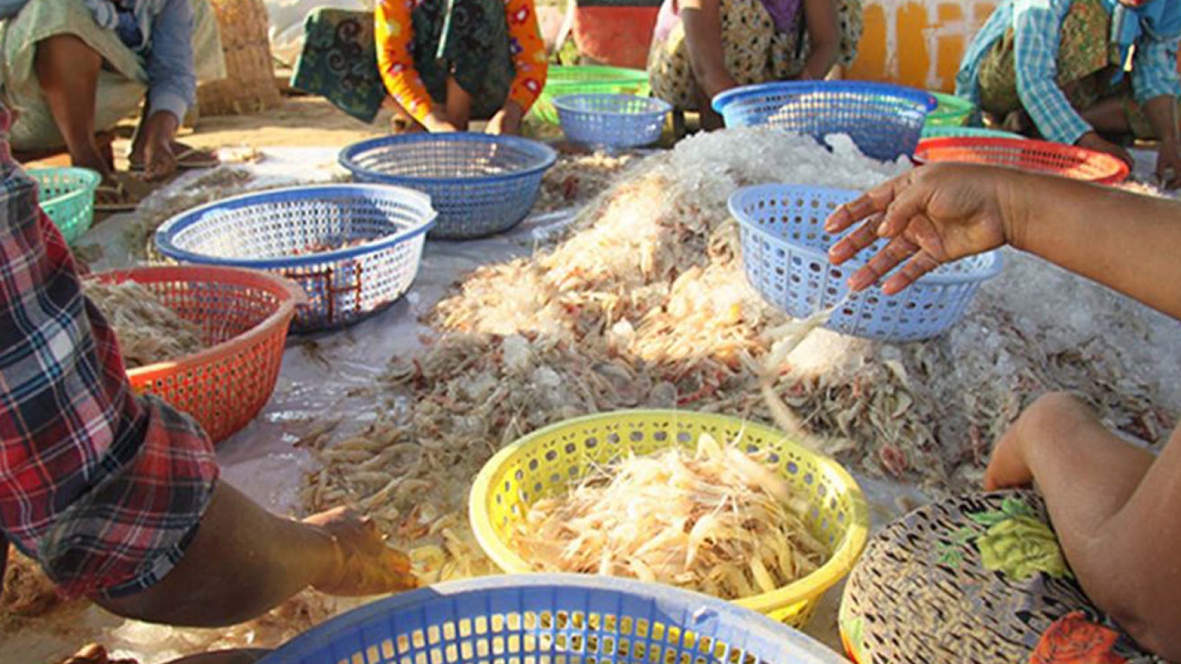 IMG_3553-72-1024x576-0